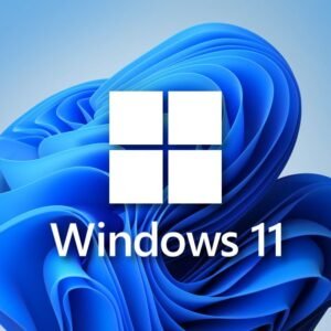 WEBSITE-windows 11